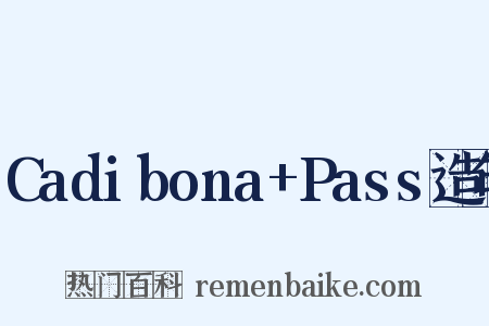 Cadibona+Pass造句是什么意思的图片
